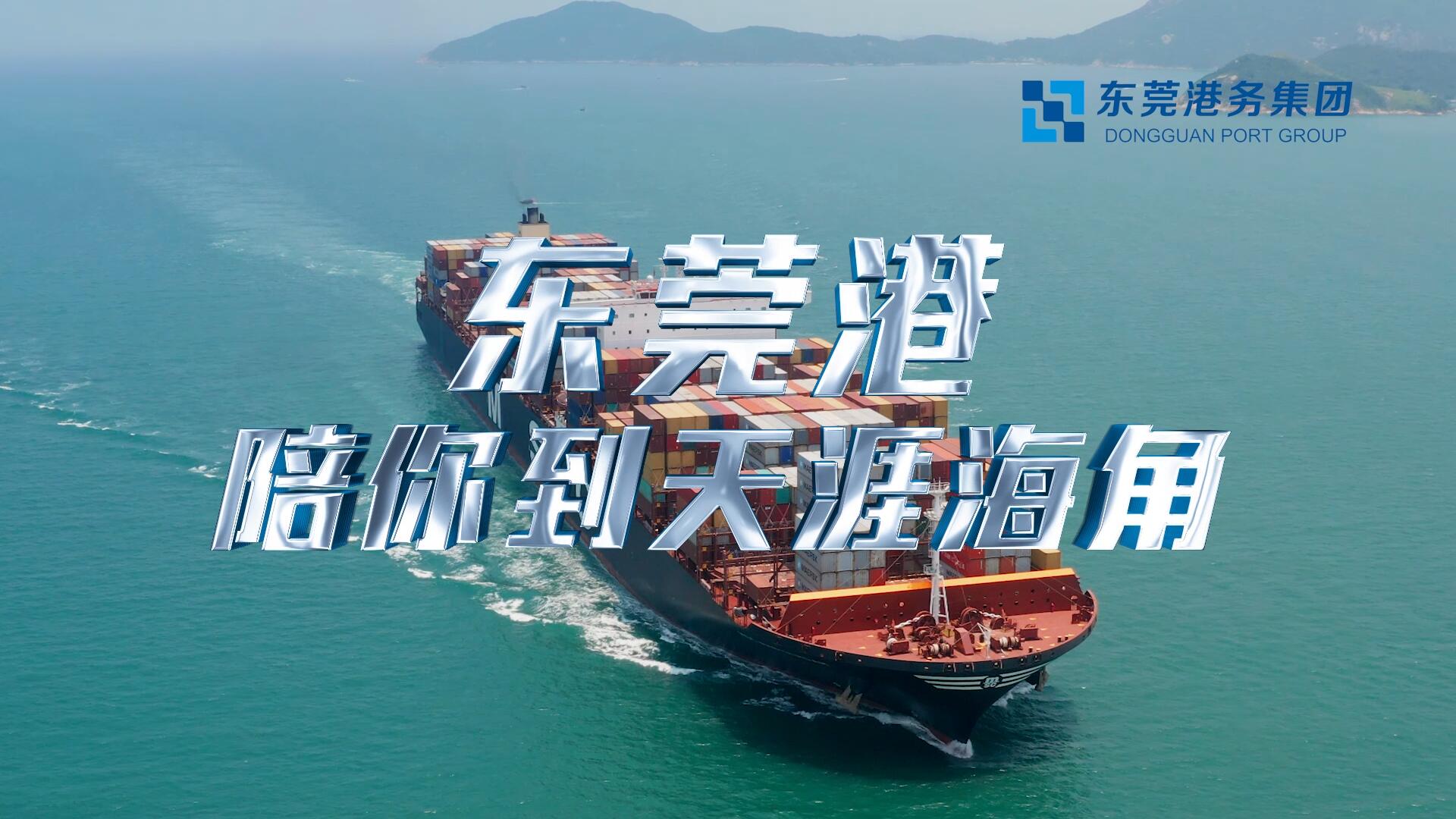 带你跑、带你飞、带你飘洋过海，东莞港陪你到天涯海角!
