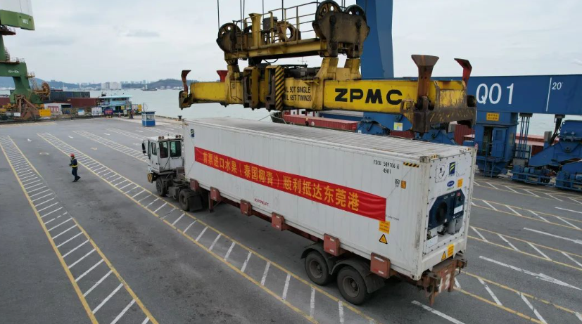 首票进口水果顺利抵达东莞港！