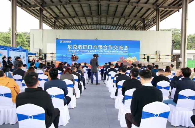 东莞港进口水果合作交流会 | 共同搭建东莞港进口水果集散一体化新通道