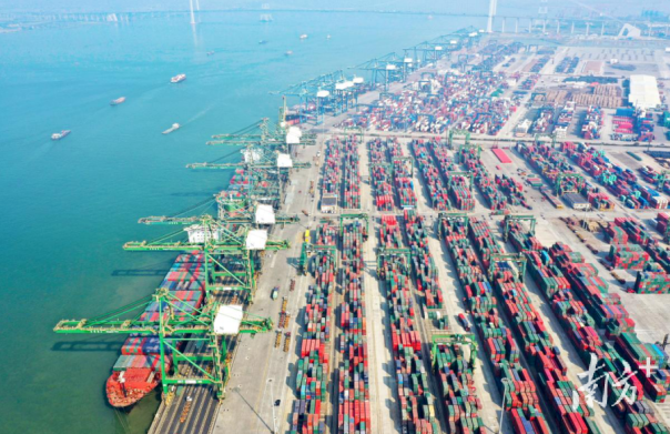 权威访谈｜港务集团万辉：搭建大湾区融合发展先行平台