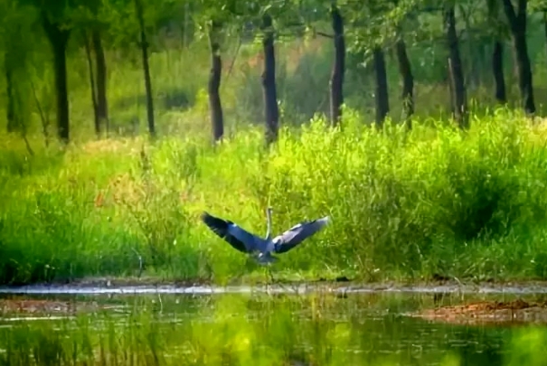 广东提出到2025年基本消除重污染天气（南方日报）