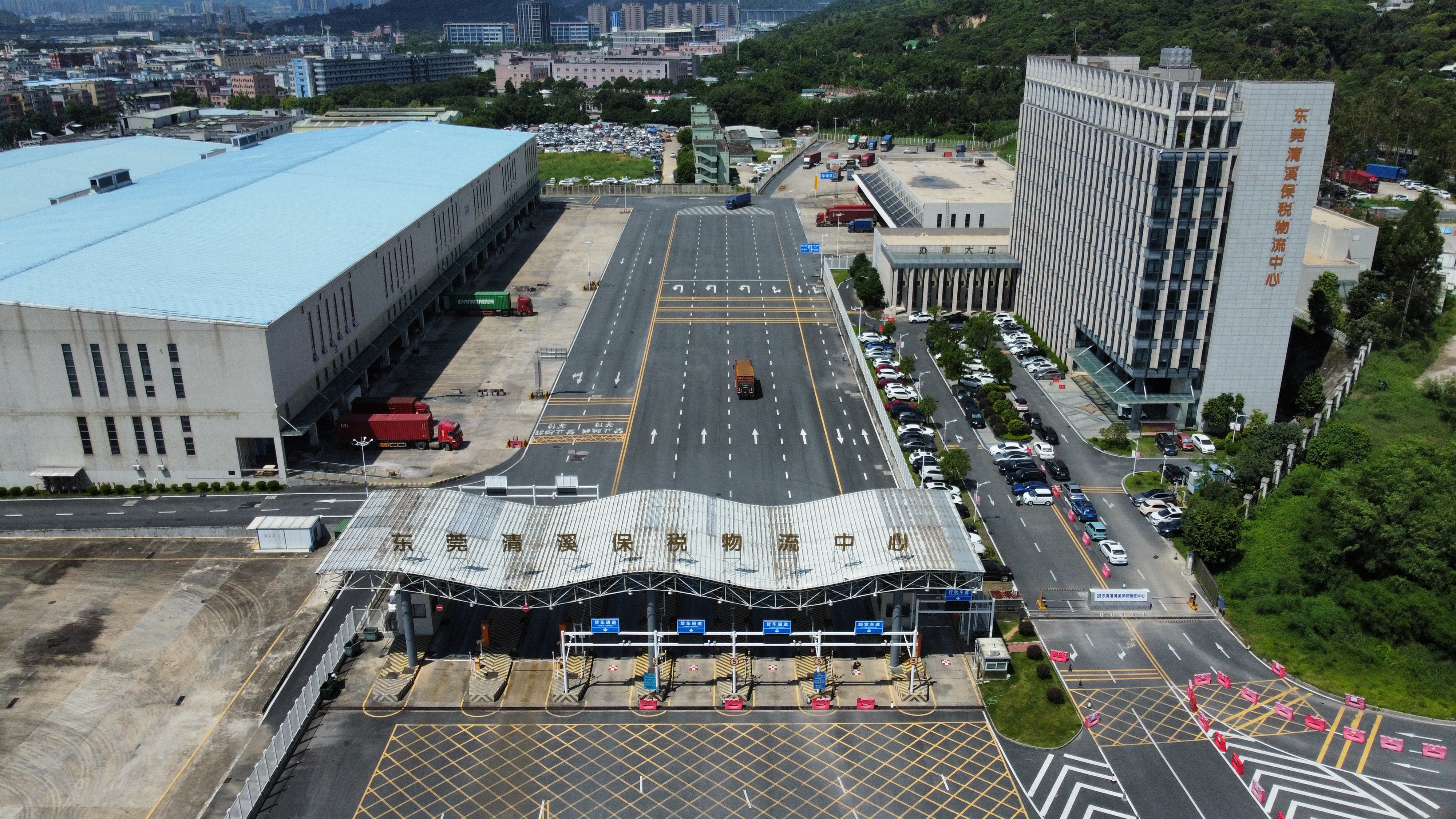 全国第一！清溪B保2024年进出口总额创历史新高