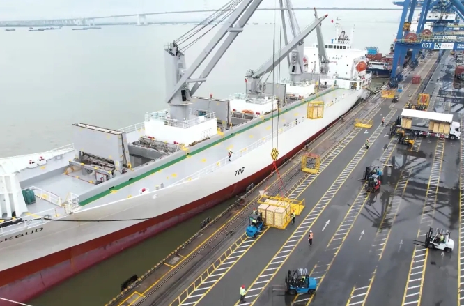 货值超1.19亿元，新西兰佳沛奇异果新鲜入莞啦！