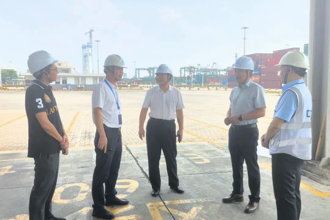 市国资委副主任徐险峰到环球ug娱乐督导检查基孔肯雅热疫情防控工作