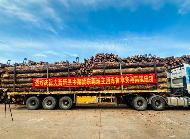 东莞港顺利完成首单原木期货交割业务