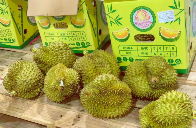 越南榴莲直航东莞港 两港一航激活越南鲜果贸易