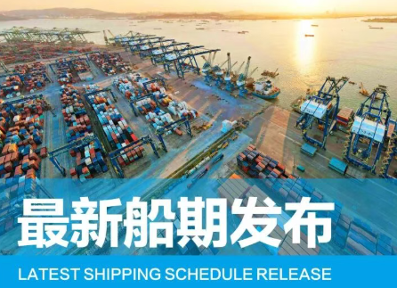 【船期发布】2026年1月东莞港“大宗商品专线”船期预报      